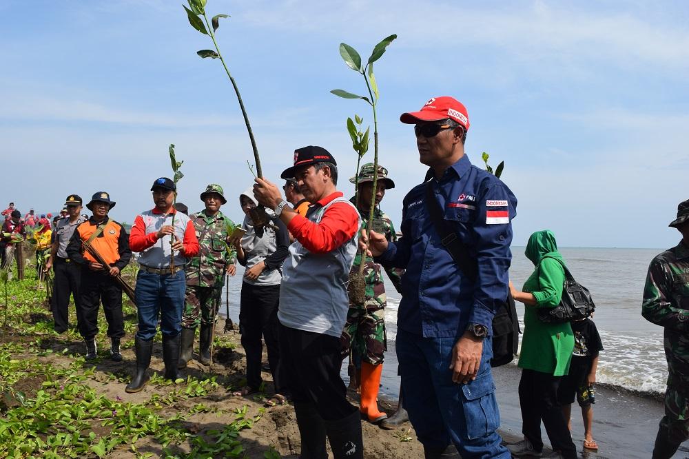 PMI Batang Tanam 1500 Mangrove di Pesisir pantai Siklayu Gringising