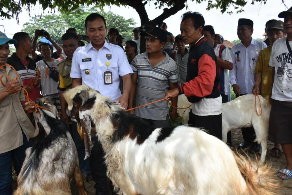 Bupati Batang Minta, Pasar Hewan Limpung Jadi Ikon Hewan Ternak