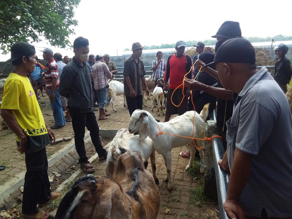 Dislutkannak Batang Harapkan Pedagang Kantongi SKKH