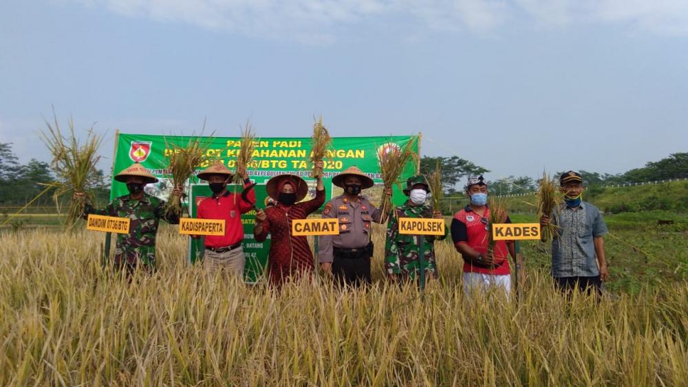 Panen Padi untuk Jaga Ketahanan Pangan