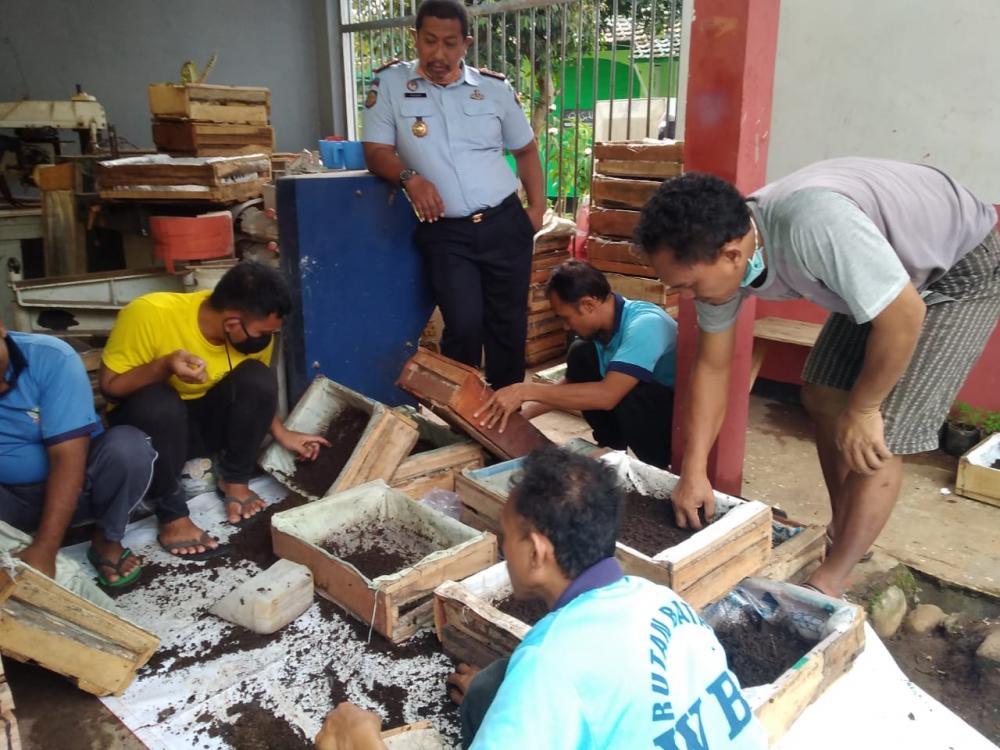 Panen Perdana Cacing di Rutan Batang