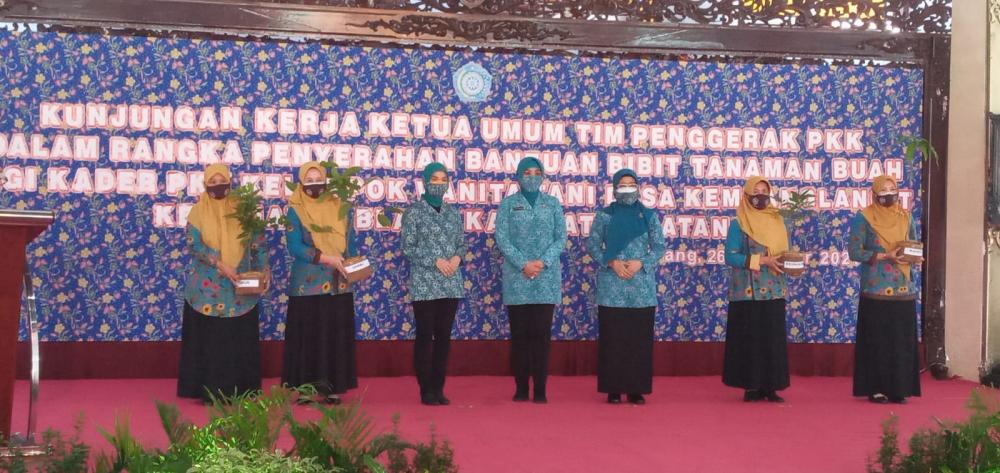 1.000 Bibit Buah Siap Tanam di Agrowisata Kembanglangit