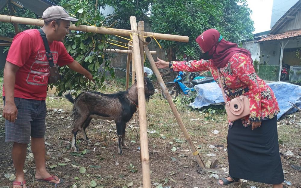 PMK Merebak, Penjualan Kambing Turun