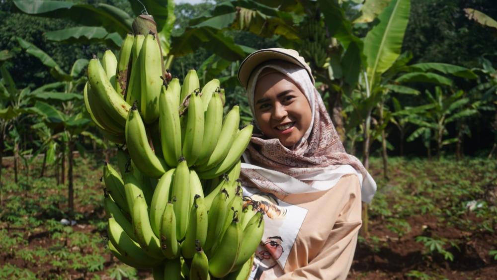 Petani Milenial Batang, Dapatkan Banyak Benefit Setelah Berhasil Kembangkan Pisang