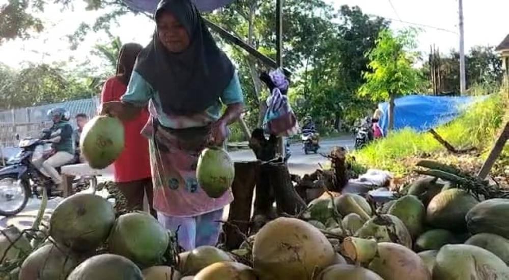 Pedagang Es Kelapa Muda di Batang Mampu Jual 100 Butir Sehari