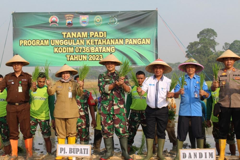 Varietas Protani Digadang-gadang Mampu Tangani Stunting