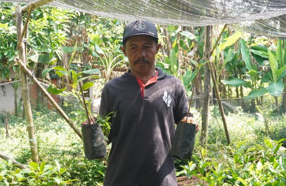 Jaga Kelestarian Alam, PLTU Batang Lakukan Rehabilitasi Pohon Seluas 22 Hektar