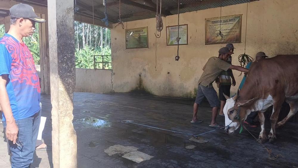 Jaga Higienis, Jamaah Muhammadiyah Percayakan Kurban ke Juleha