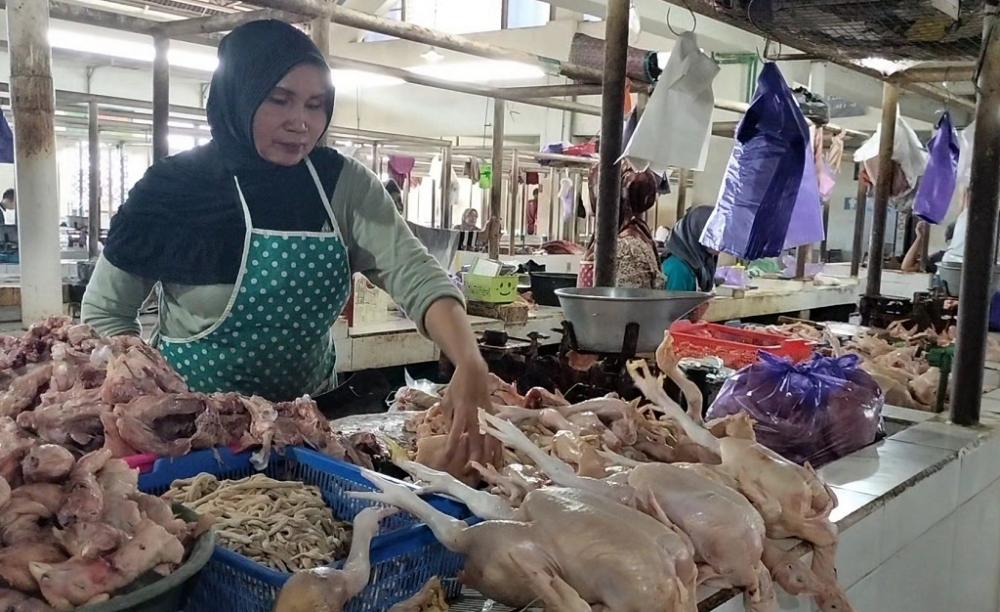 Pedagang Resah, Harga Ayam Potong Masih Melangit