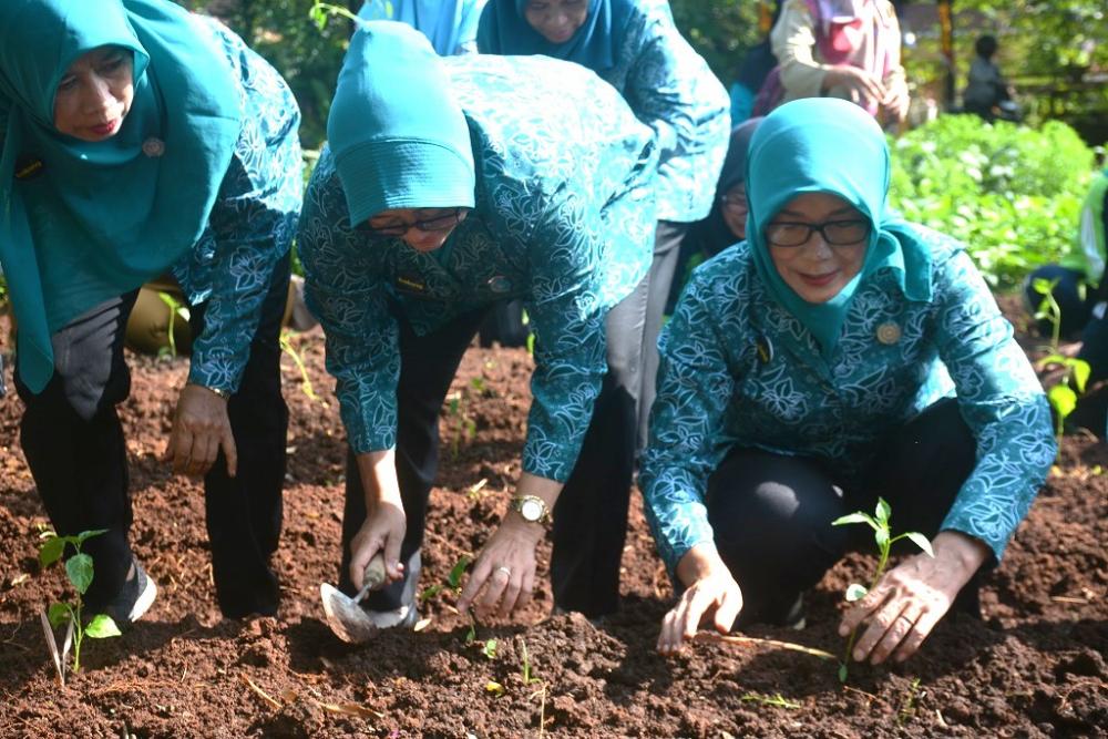 Gerakan Tanam Cabai, Upaya Penanganan Inflasi di Kabupaten Batang