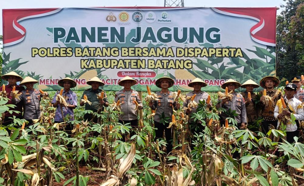 Sukses Panen Jagung, Polres Batang Segera Salurkan ke Bulog