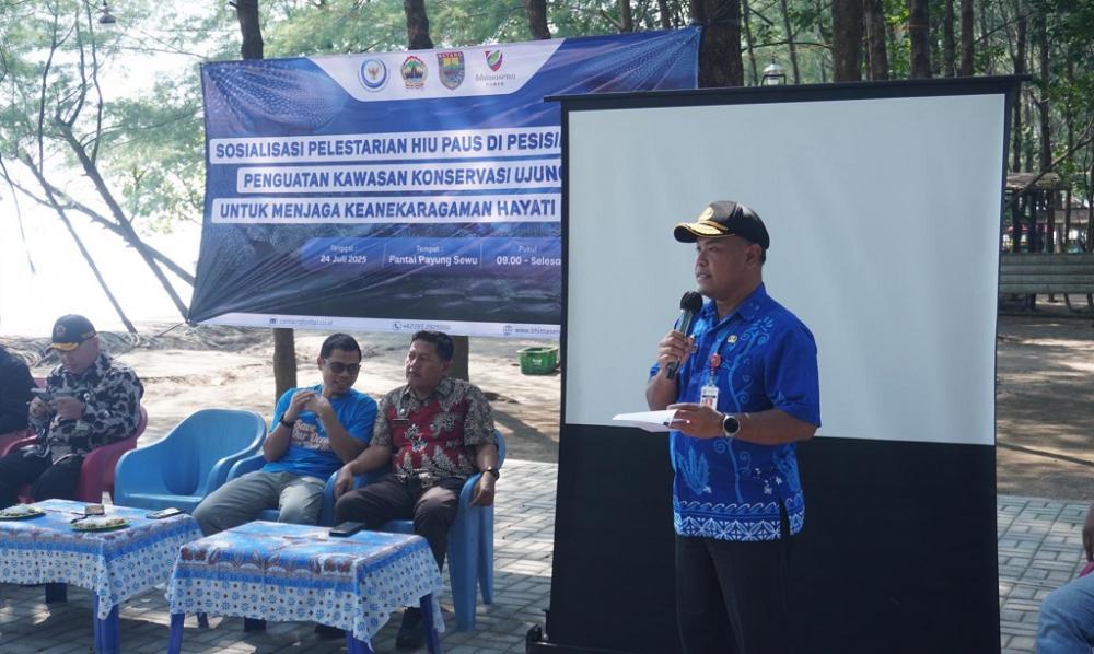 Sosialisasi Pelestarian Hiu Paus Pesisir Batang, Libatkan Nelayan Hingga Mahasiswa