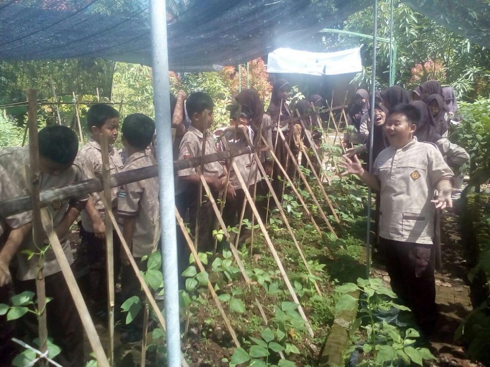 Kabupaten Batang Menjadi Percontohan Program Sayuran Masuk Sekolah