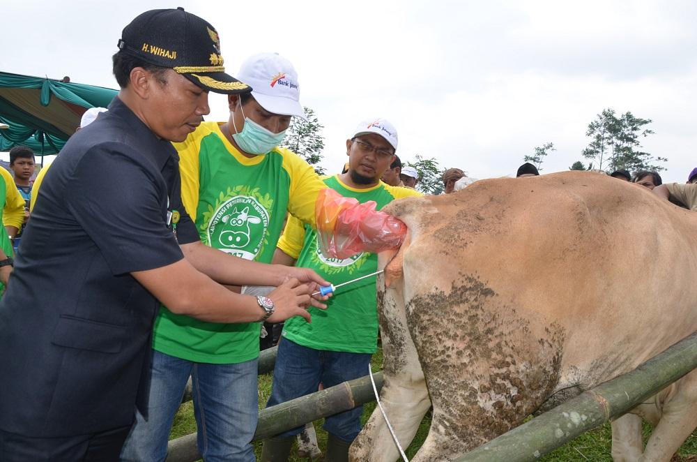 Batang Gelar Potensi Peteranakan dan Kontes Sapi Simental dan Kambing Etawa  