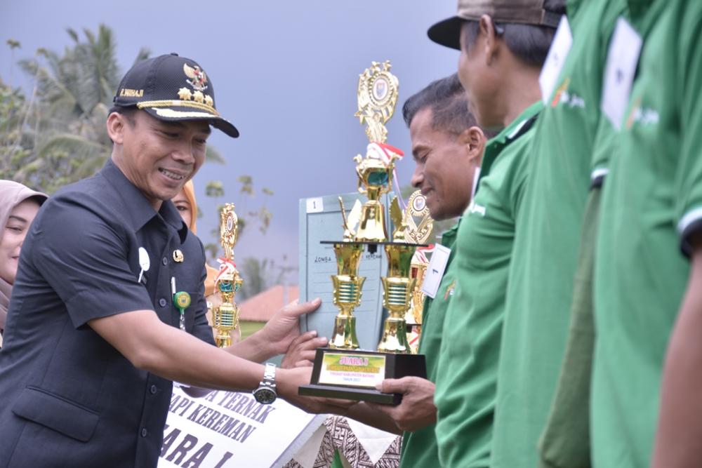 Tanam Ketela, Hanya Bermodalkan 20 Juta Bisa Untung Sampai 60 Juta