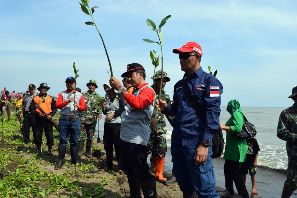 PMI Batang Tanam 1500 Mangrove di Pesisir Pantai Siklayu Gringising