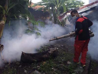 Terjadi 2 Kasus DB, Dinkes Batang Segera Lakukan Fogging