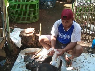 Jasa Cabut Bulu Ayam di Batang Raup Untung Saat Lebaran