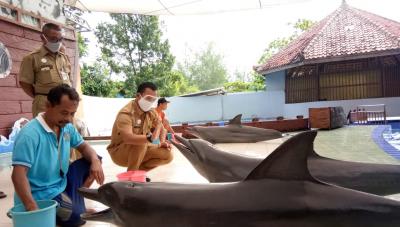 Jelang New Normal, Bupati Batang Cek Kesiapan Dholpin Center