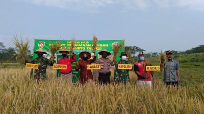 Panen Padi untuk Jaga Ketahanan Pangan