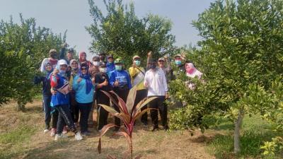 Wisata Edukasi Petik Jeruk di Desa Pesaren Batang