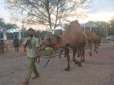 Safari Beach Jateng, Targetkan Wisatawan Mancanegara