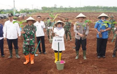 Genjot Ketahanan Tanam, Pj Bupati dan Dandim Tanam Pisang Lokal Batang