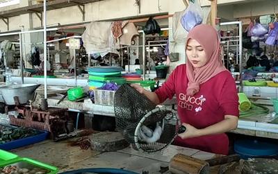 Ombak Tinggi, Pasokan Ikan Menurun