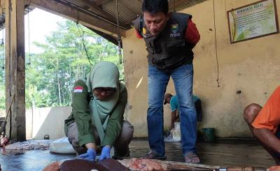 Antisipasi Cacing Hati, Dislutkanak Terjunkan Tim Pemantau Kurban