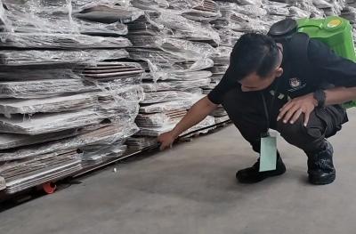 Rawan Diserbu Serangga, Gudang KPU Disemprot Cairan Khusus