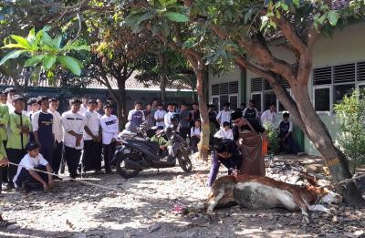 Praktikkan Perintah Rasulullah, MAN Batang Sembelih Hewan Kurban