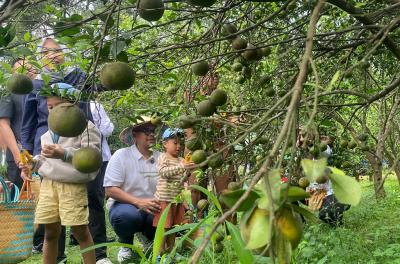 Potensi PAD, Bupati Batang Ingin Agroeduwisata Clapar Petik Jeruk Dapat Dijadikan BUMD