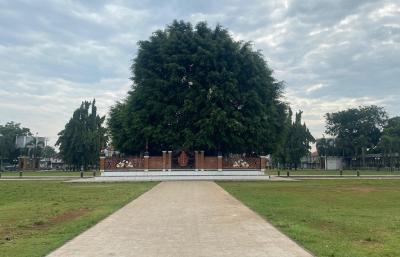 Pemkab Akan Revitalisasi Alun-Alun Batang Sekitar Pohon Beringin