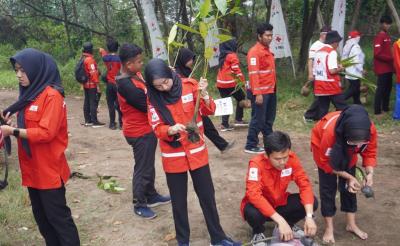 HUT Ke-80, PMI Batang Tebar Kebaikan Lewat Donor Darah hingga Penanaman Mangrove