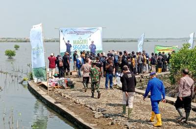 Pemukiman Warga Batang Terancam, DLH Tanam Bibit Mangrove