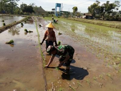 Kodim 0736/Batang Bersama Tim Monitoring LTT  Jateng  Memonitor Perkembangan LTT di Kabupaten Batang