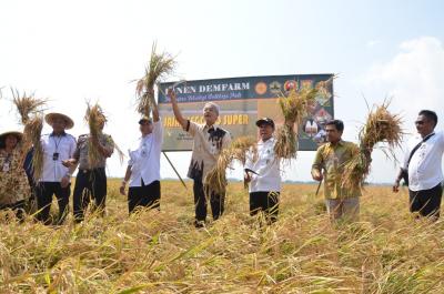 Gubernur Jawa Tengah Ganjar Pranowo Bersama Bupati Batang Wihaji Panen Raya