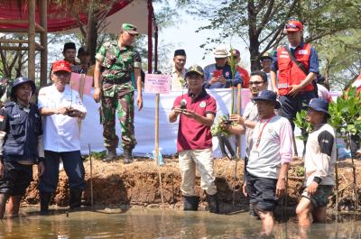 PMI Batang Miliki Pusat Edukasi Mangrove